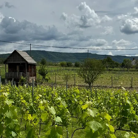 Svabhaz, Alpaka - Vendeghaz Es Szoloskert Bakonya