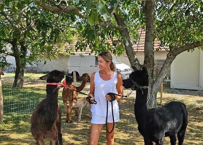Svabhaz, Alpaka - Vendeghaz Es Szoloskert *