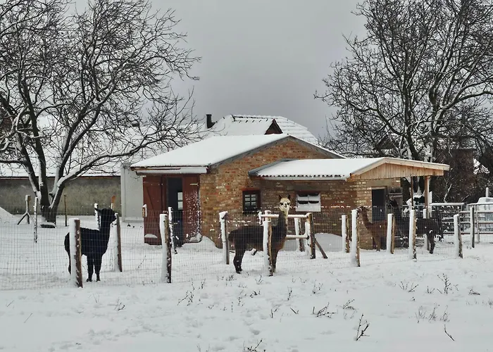 Lejlighed Svabhaz, Alpaka - Vendeghaz Es Szoloskert Bakonya